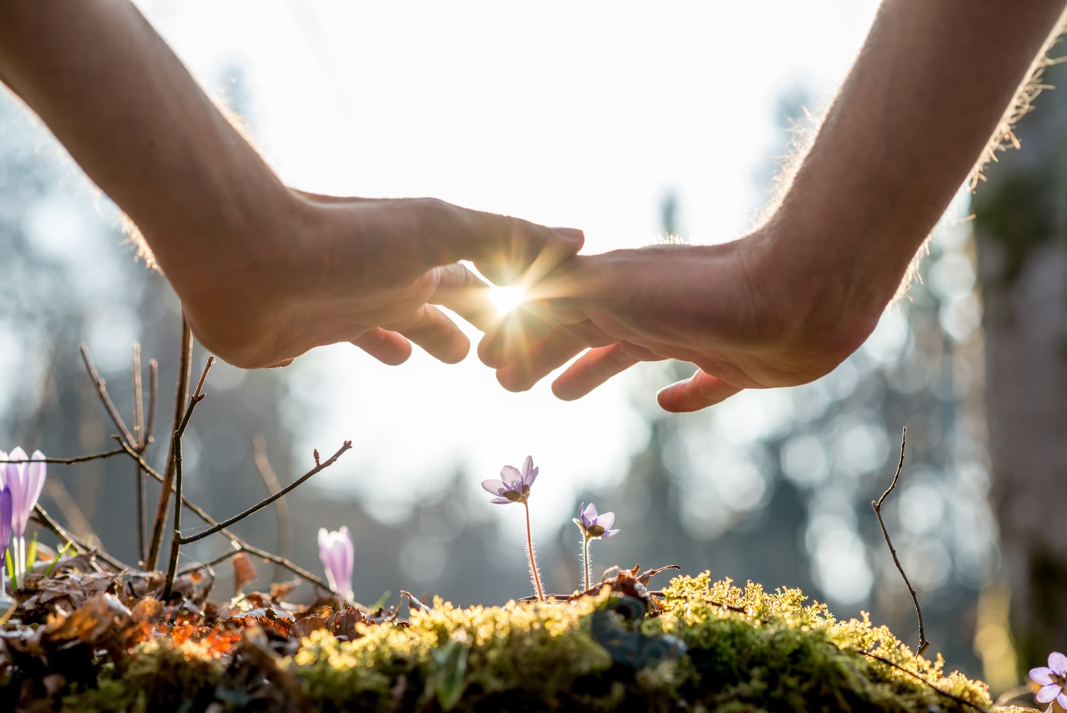 
Introduction to Natural Health and Healing